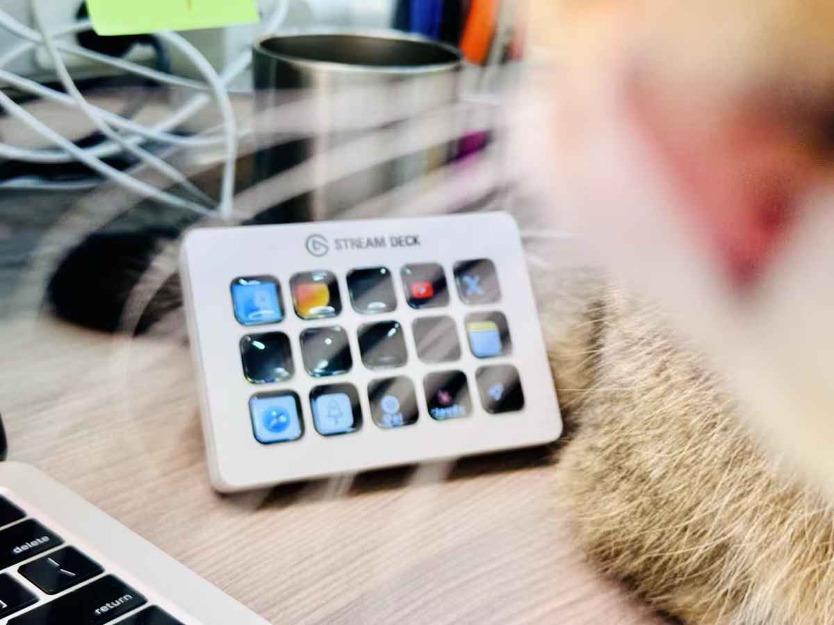 image-20250316235346993